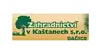 Prodej řezaných květin