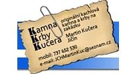Martin Kučera