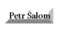 Petr Šalom - truhlář