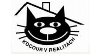 Kocour v realitách