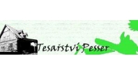Dušan Pesser