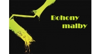 Daniel Bohony
