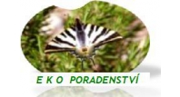 Bc. Kateřina Březová