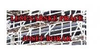 Josef Borák