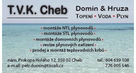 Petr Domin