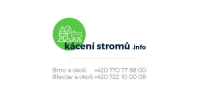 Lubomír Buchta - Kácení stromů Brno