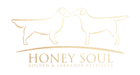 Vítězslav Suský - Honey Soul