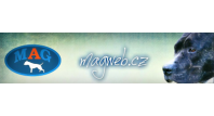 Martin Bohanus - MAGweb.cz