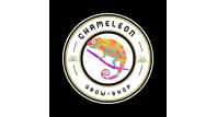 Michaela Sorádová - CHAMELEON SHOP